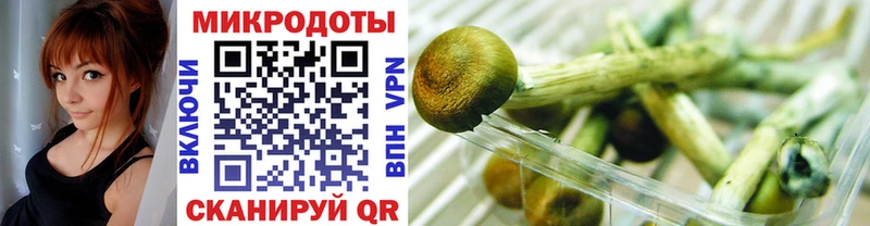 Псилоцибиновые грибы MAGIC MUSHROOMS  как найти закладки  Благодарный 