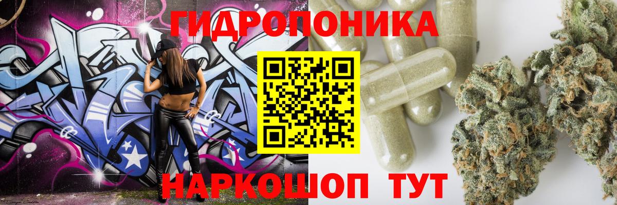 Шишки марихуана MAZAR Благодарный